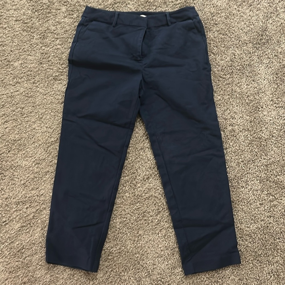 Loft pants